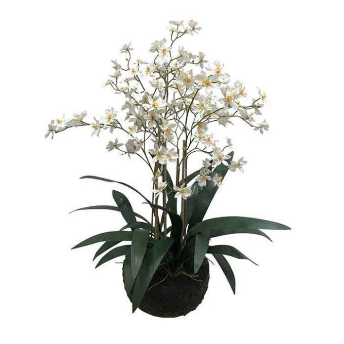 סחלב מלאכותי ומפואר BIG ORCHID