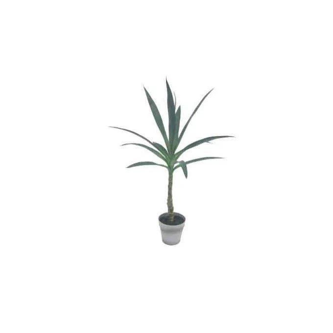 עציץ במבוק מלאכותי DRAGON PLANT