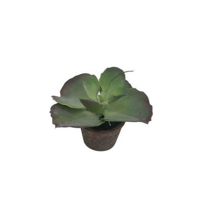עציץ סוקולנט מלאכותי חמוד SUCCULENT