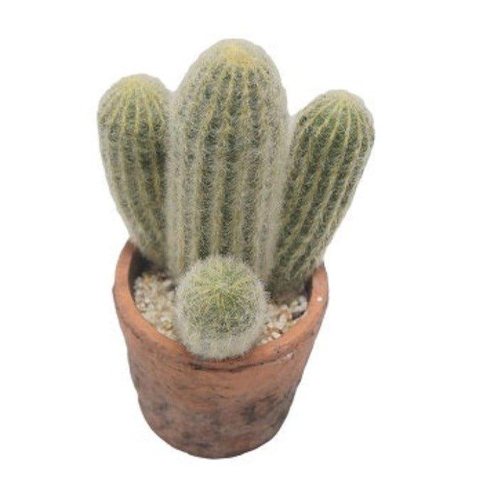 קקטוס מלאכותי לטרריום TERRA CACTUS - Image 2