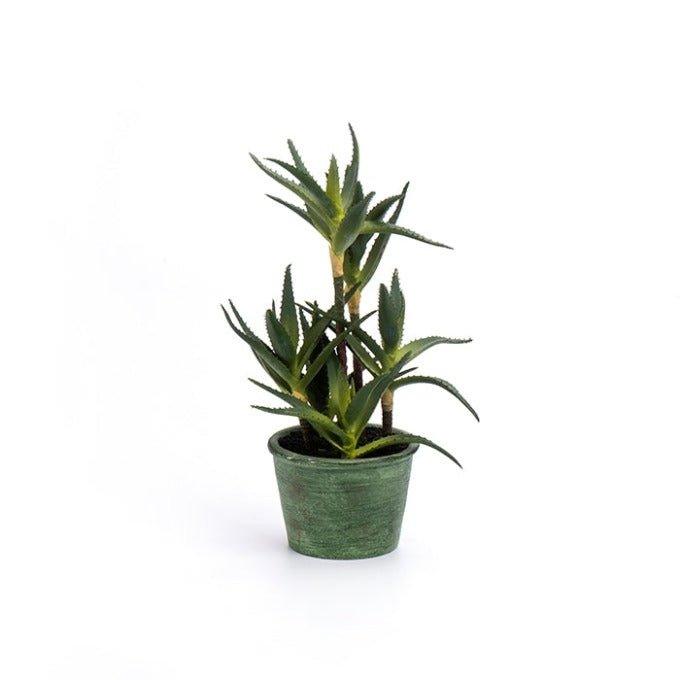 עציץ אלווה מלאכותי TRIPLE ALOE VERA - Image 2